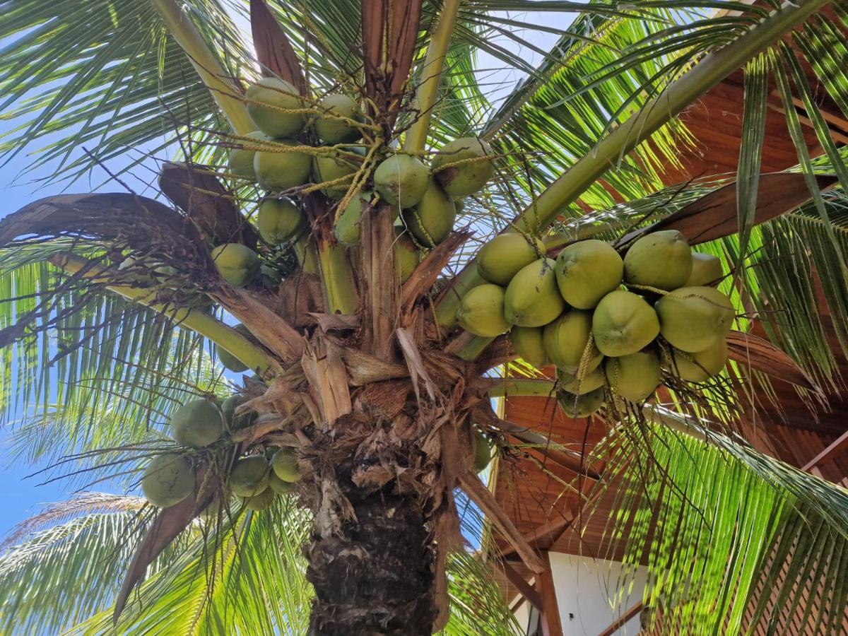 Praia De Itacimirim, Pe Na Areia Exterior foto